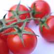 Ricette con i pomodori