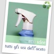 Tutti gli usi dell’aceto bianco