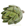 4 Ricette con i carciofi
