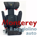 New Baby Berry - Seggiolino per auto Monterey