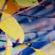 Il meglio della settimana [01]