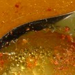Come preparare il brodo per lo svezzamento?