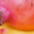 Rosh Hashanah