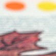 Lavoretti d’autunno: la foglia di vite