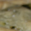 Erbazzone: la ricetta fotografata
