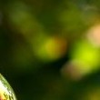 Giochi estivi da fare all’aperto