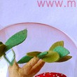 Micro-Mondi: un regalo per la festa della mamma
