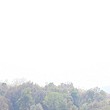 Il Giorno della Terra