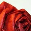 I migliori tutorial per creare fiori di carta