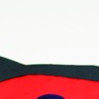 Decorazioni per finestra: la coccinella