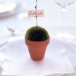wed_sp99_goodthings_01_xl