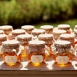 wed_win00_good_honey_xl