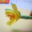 dscn2888
