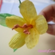 dscn2889