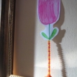 tulipano