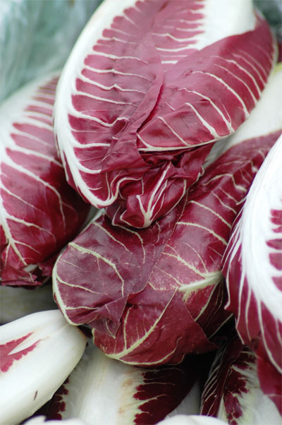 radicchio foto di Nathalie Dulex via sxc