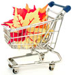 Fare la spesa online?