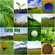 10 cambiamenti ecologici da fare per il ‘Giorno della Terra’