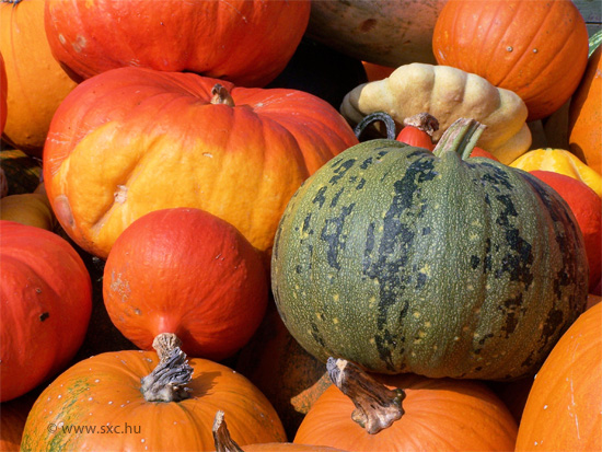 ricette-zucca ricette-zucca