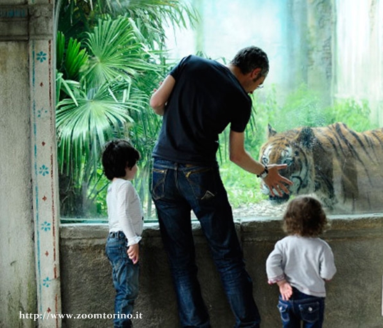 Bioparco Zoom a Torino Bioparco Zoom a Torino
