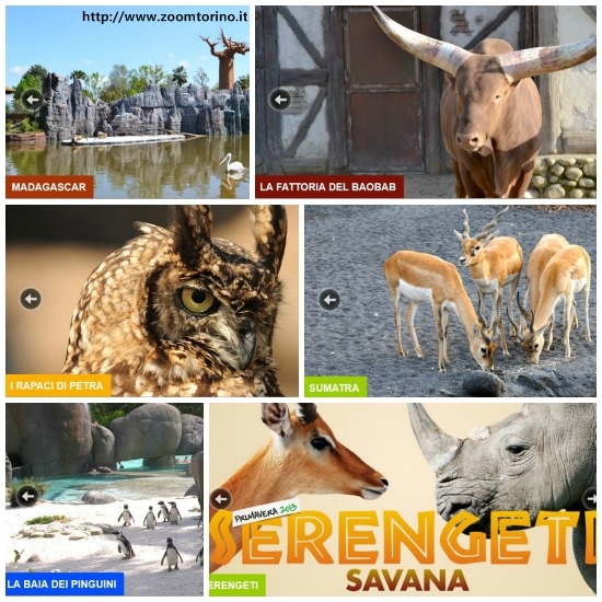 Gli habitat del biopacro Zoom