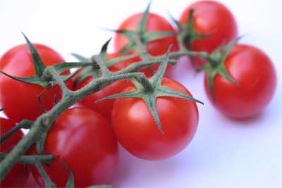 Ricette con i pomodori