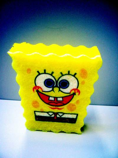 Sponge balls!