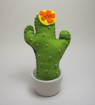 Eccheccactus! :)