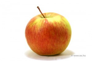 alimentazione in gravidanza