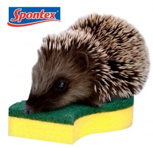ernie-riccio-spontex