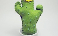 cactus-pannolenci