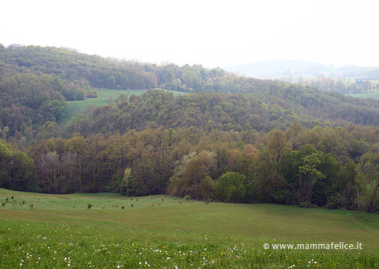 montagna