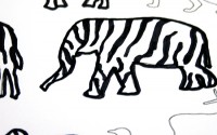 animali-zebrati