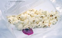 pop-corn-colorati