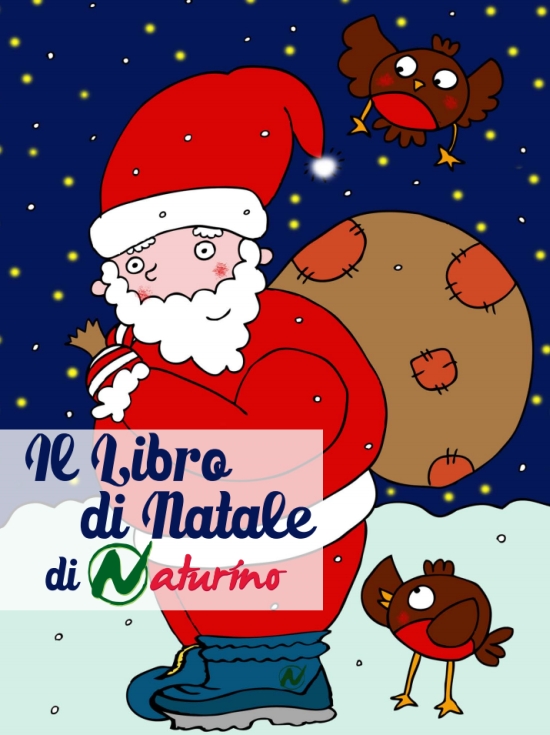 libro-natale libro-natale
