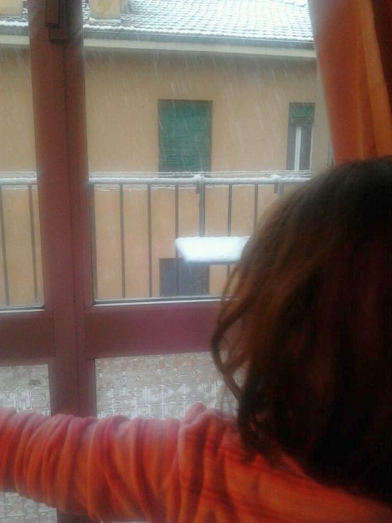 neve-bologna-2013