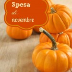 Spesa di Novembre