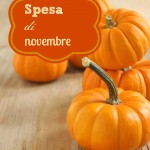 Spesa di Novembre