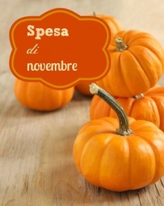 Spesa di Novembre