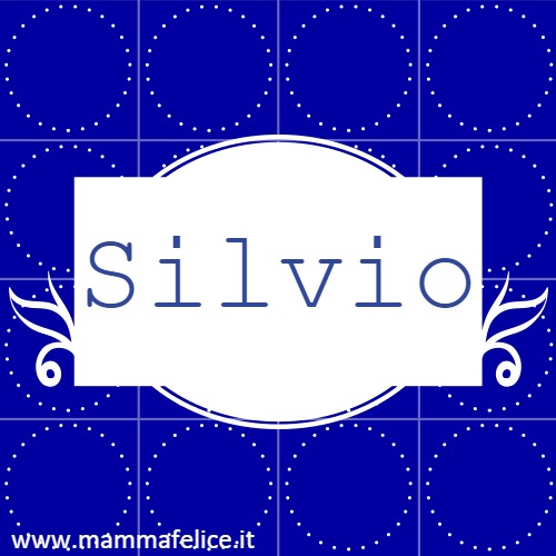 Silvio