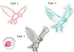come-disegnare-aquila-in-tre-fasi