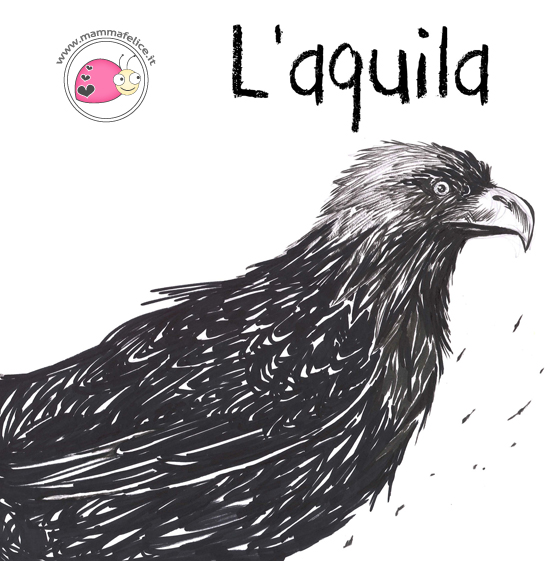  come-disegnare-aquila