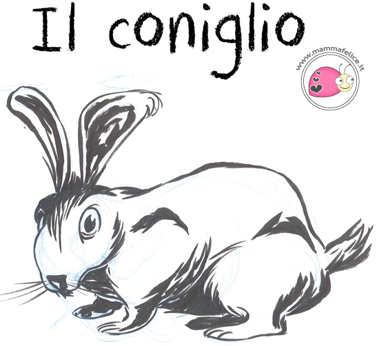 come-disegnare-un-coniglietto