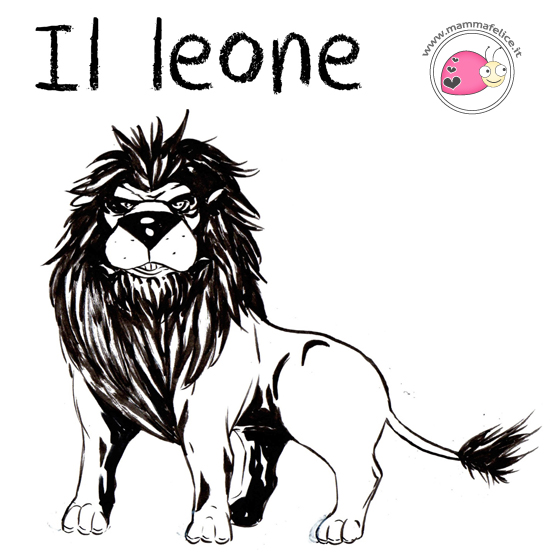 come-disegnare-un-leone.jpg