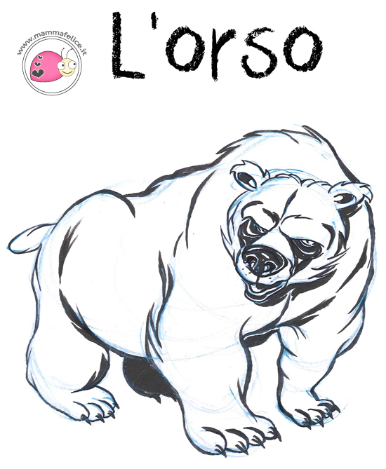 come-disegnare-un-orso.jpg