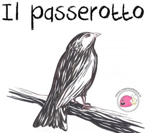 come-disegnare-un-passerotto