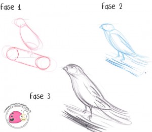 come-disegnare-un-passerotto-in-tre-fasi