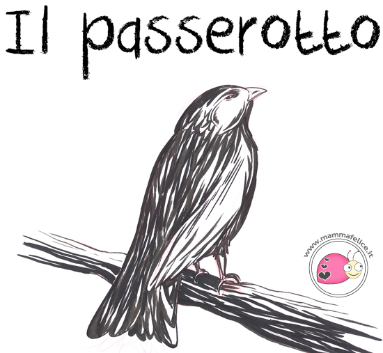  come-disegnare-un-passerotto