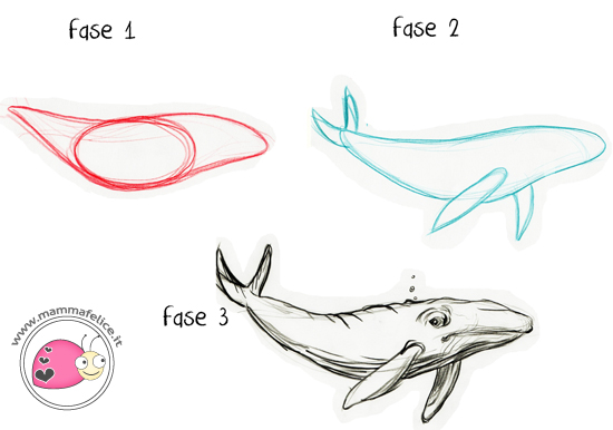 come-disegnare-una-balena-in-tre-fasi.jpg