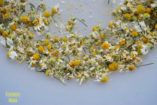 fiori camomilla essiccati